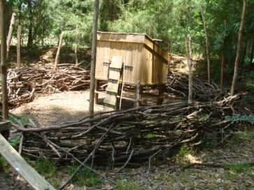 Chicken house with Wattle fence