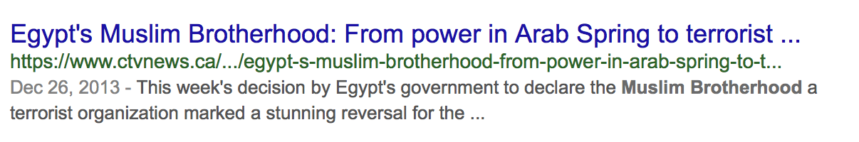 Egypt brotherhood and arab spring