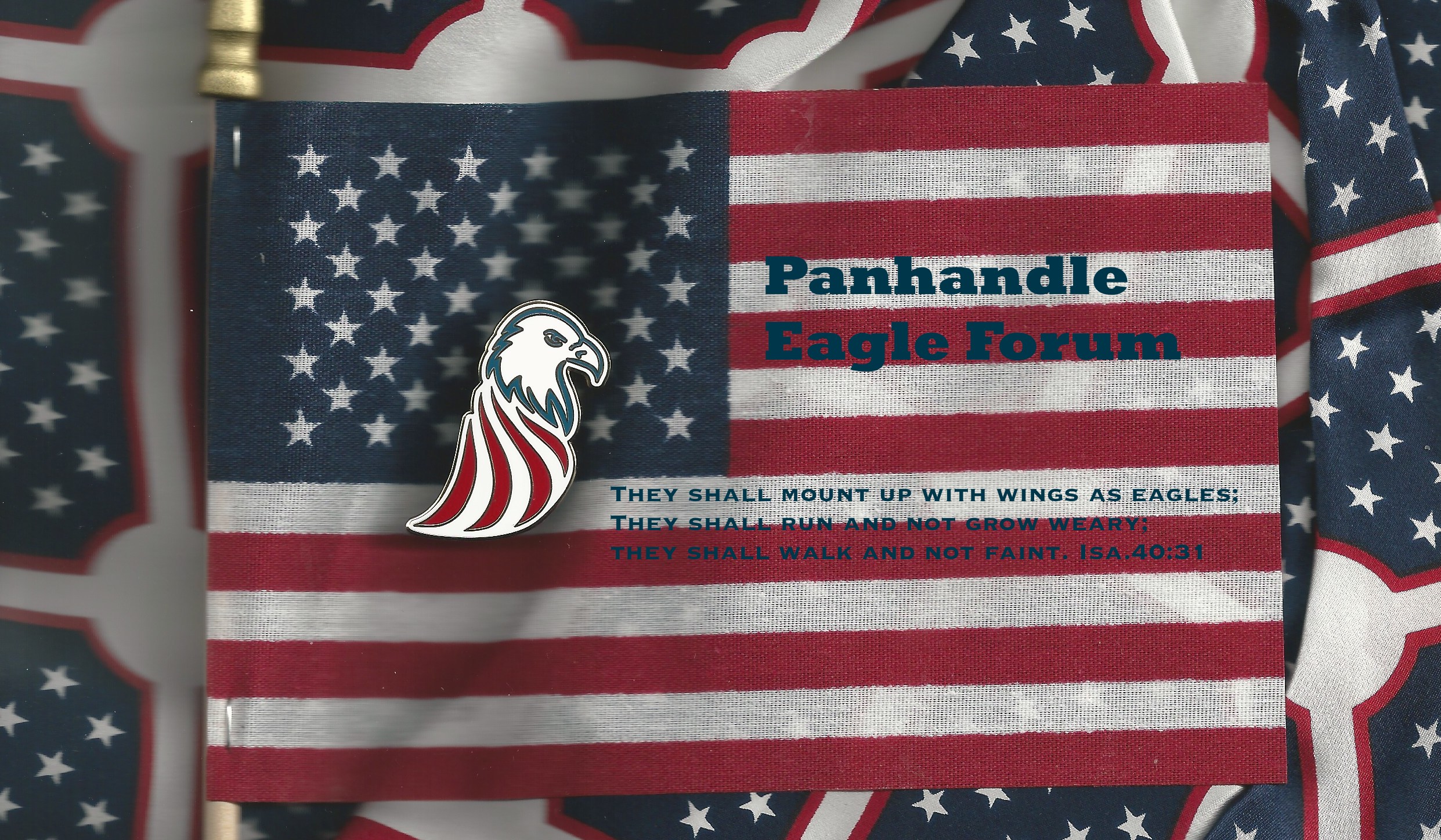 Panhandle Eagle Forum Logo